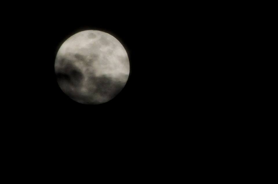 Image Credit: Mohan Mar