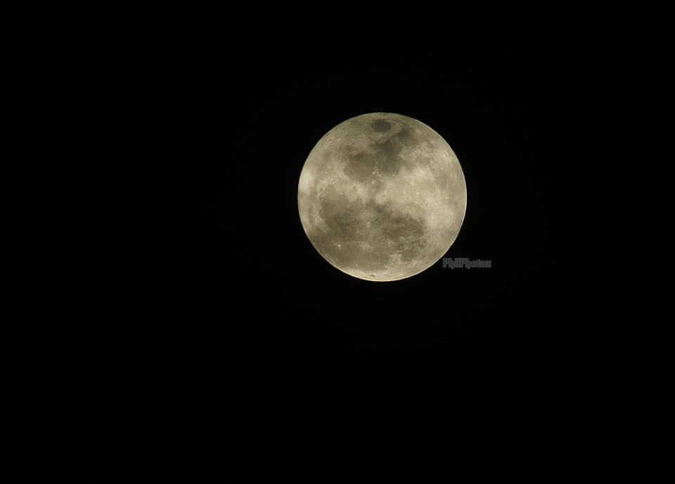Image Credit: Philp Photoz