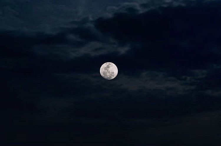 Image Credit: Fahana_Photo