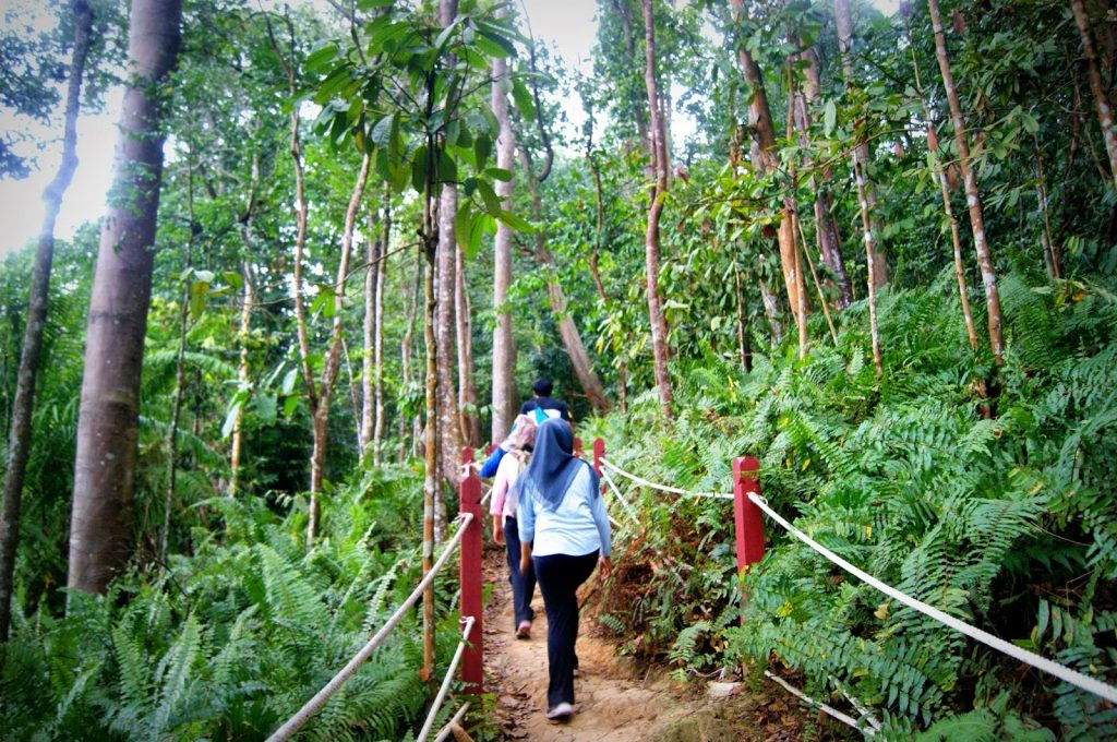 10 Places To Hike In Klang Valley For Different Fitness Levels