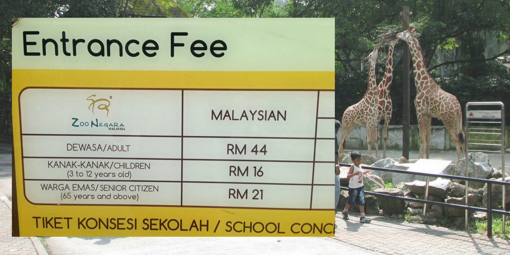 Malaysian Netizens Are Defending Zoo Negara S Expensive Entrance Fee