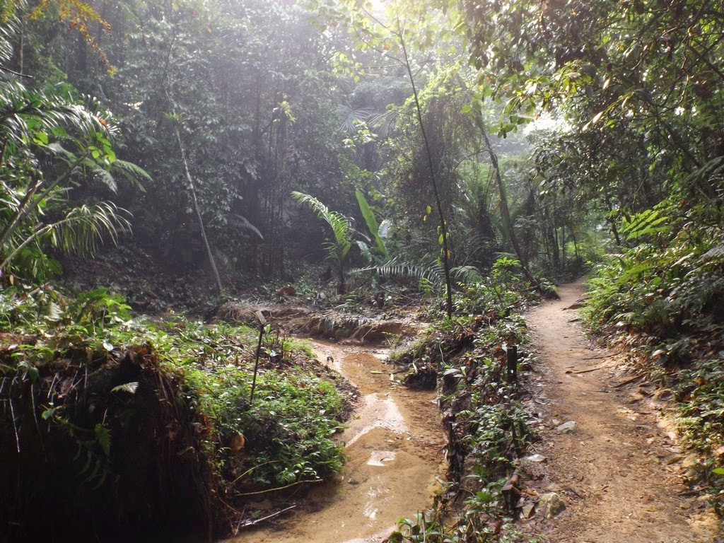 10 Places To Hike In Klang Valley For Different Fitness Levels