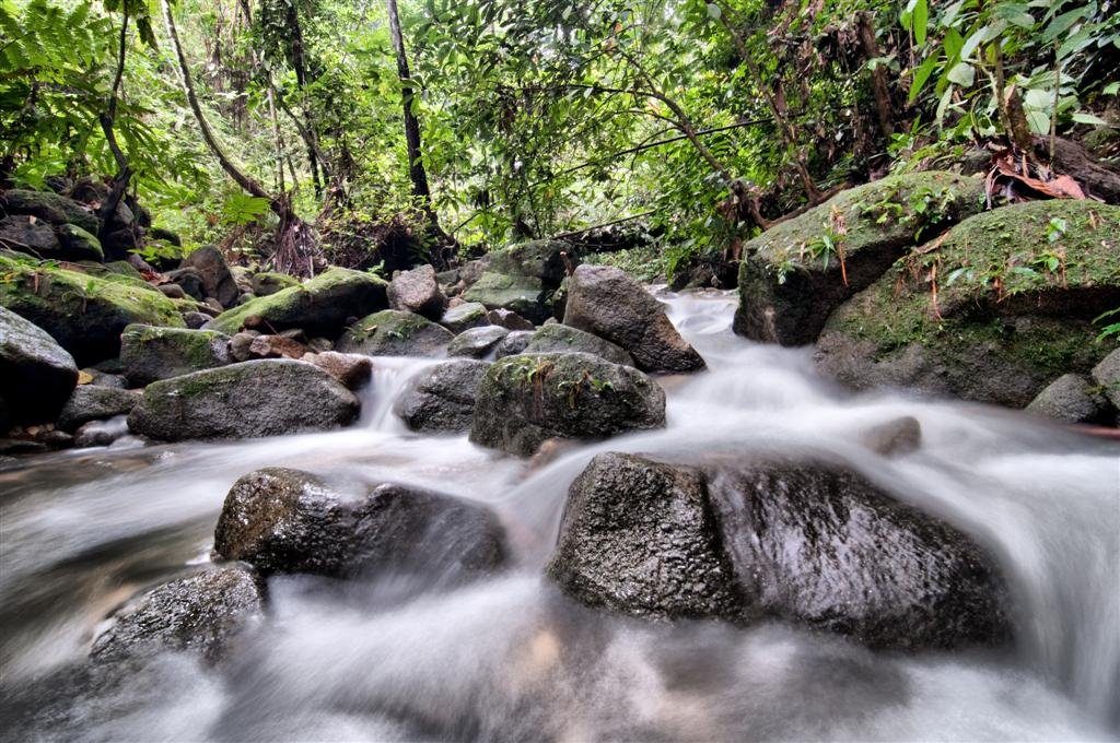 Beautiful Waterfalls In Selangor Near Popular Hiking Spots