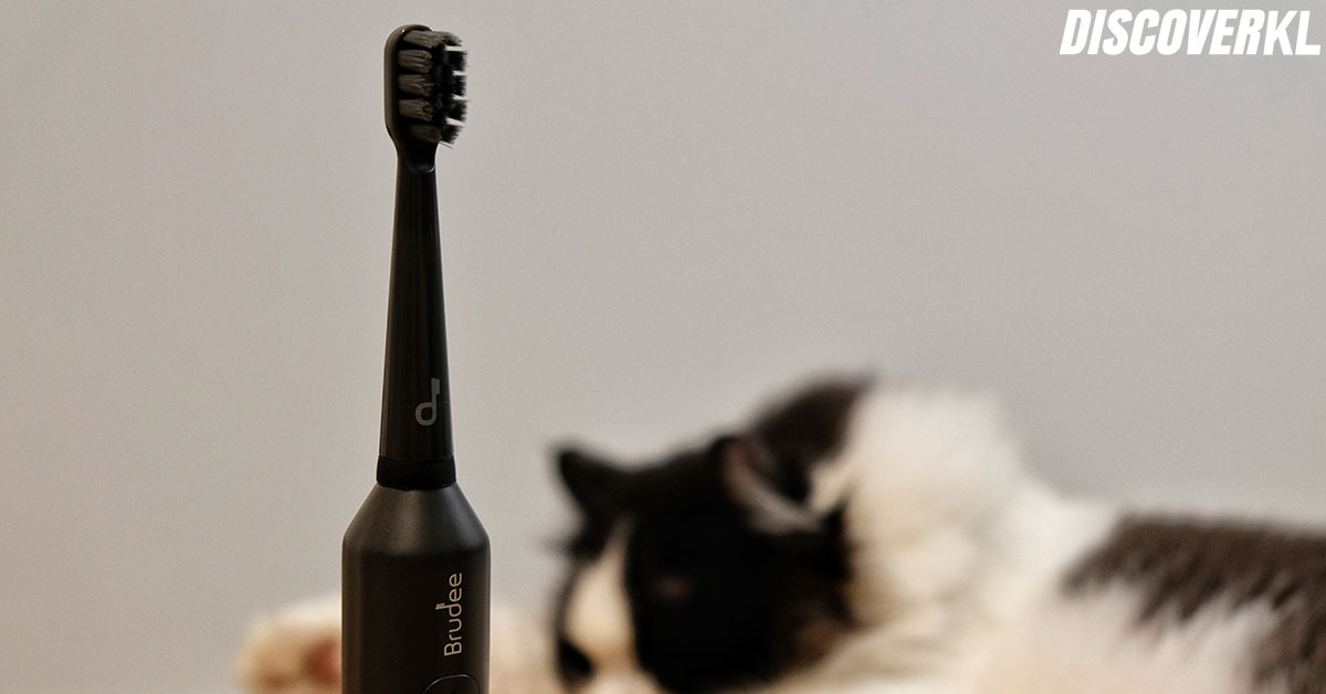 brudee sonic toothbrush